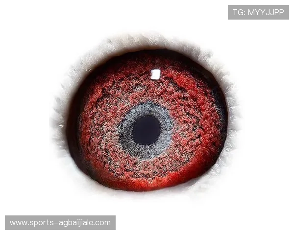 利来国际ag集团在国际市场上的拓展策略及未来发展规划分析 利来国际ag集团在国际市场上的拓展策略及未来发展规划分析